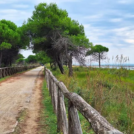 Appartamento Bright With Garden And Parking - Beahost - *